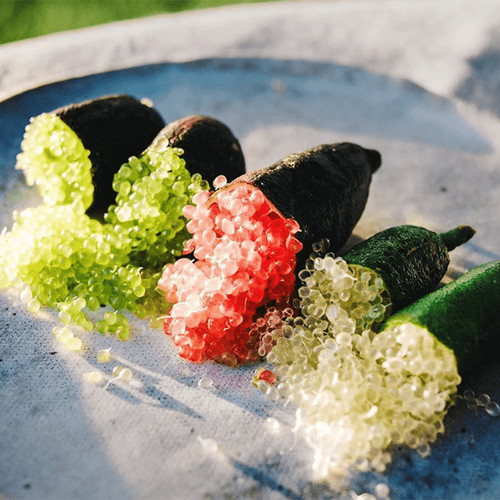 Pianta finger lime limone - pianta,