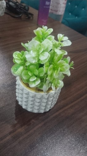Pianta interno artificiale - da,